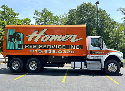 Homer Tree Service