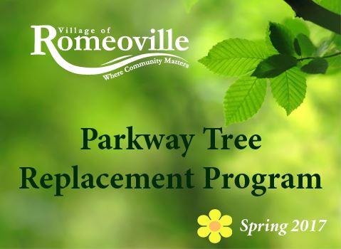 Parkway Tree Program_Spring