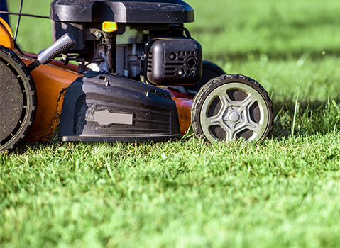 Neighbors Helping Neighbors